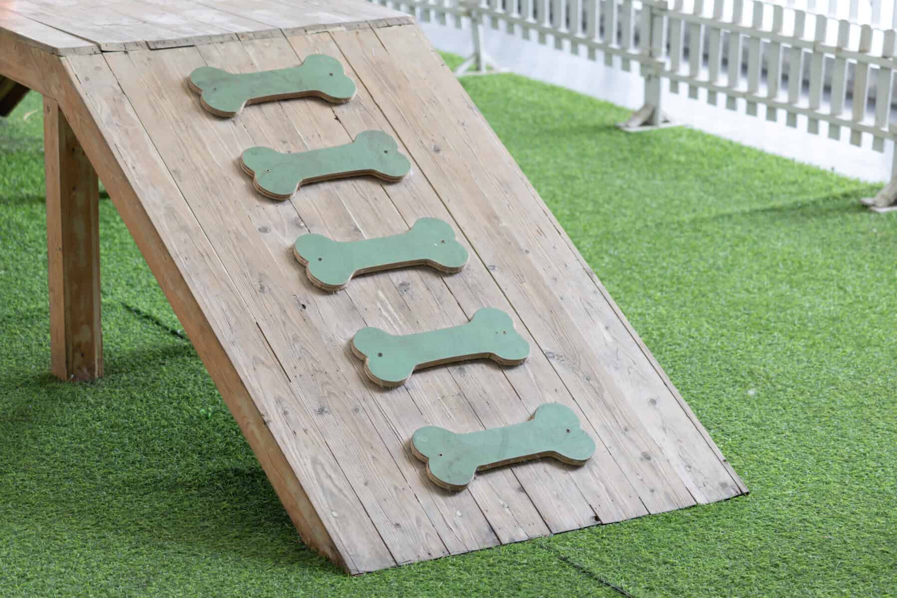 Dog Agility Ramp with Bone-Shaped Obstacles Dog agility ramp with bone-shaped obstacles on a backyard lawn.
